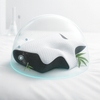 Sleepora™ | Nooit meer slapeloosheid