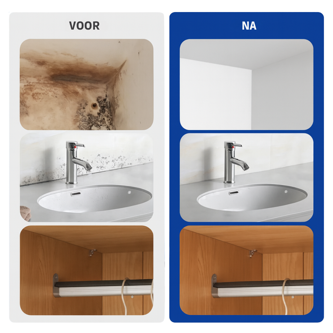 MoldGuard™ | Haal de frisheid terug in huis
